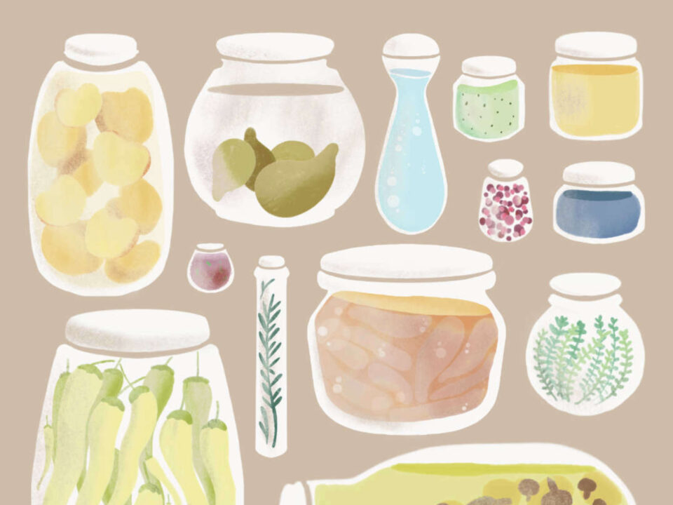 Dettaglio dell’illustrazione con barattoli di cibo realizzata per la formazione dei volontari dell’associazione No Spreco.