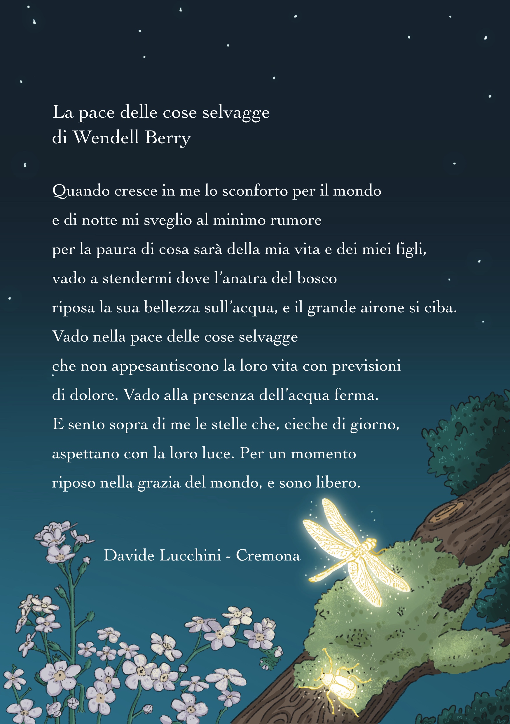 Testo della poesia “La pace delle cose selvagge” di Wendell Berry illustrata da Davide Lucchini.
